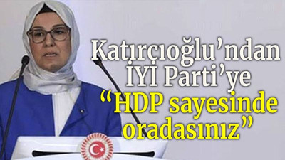 Katırcıoğlu’ndan İYİ Parti’ye “HDP sayesinde oradasınız”